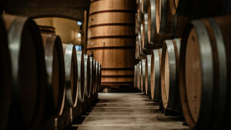 Rows of wine barrels in storage