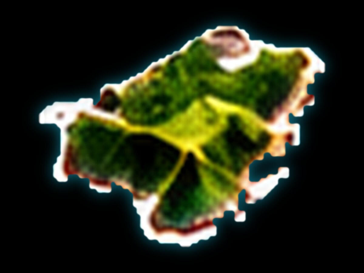 Kauaʻi island illustration