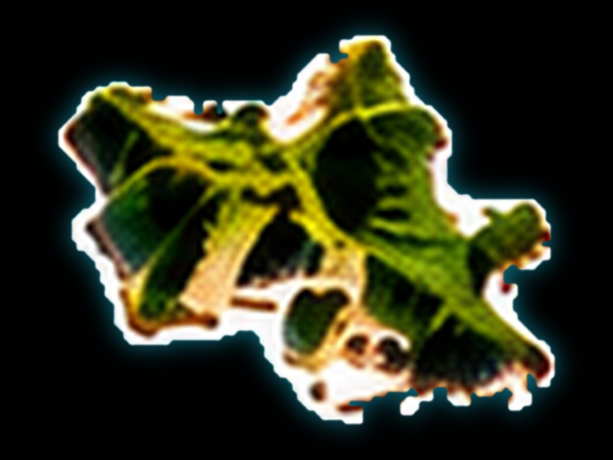 Oʻahu island illustration